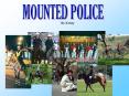 MOUNTED POLICE PowerPoint PPT Presentation