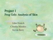 Project%201%20Frog%20Gels:%20Analysis%20of%20Skin