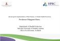 Promoting Positive Mental Health: Theoretical Frameworks for Practice PowerPoint PPT Presentation
