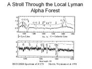 A Stroll Through the Local Lyman Alpha Forest