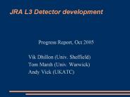 JRA%20L3%20Detector%20development