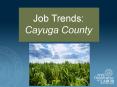 Job Trends: Cayuga County PowerPoint PPT Presentation