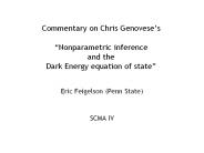 Commentary on Chris Genovese