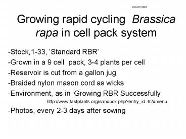 Growing rapid cycling Brassica rapa in cell pack system
