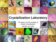 The agony and the ecstasy of protein crystallization