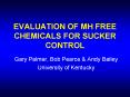 EVALUATION OF MH FREE CHEMICALS FOR SUCKER CONTROL PowerPoint PPT Presentation