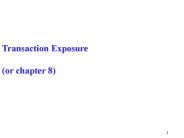 Transaction Exposure