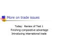 More on trade issues PowerPoint PPT Presentation