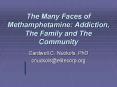 The Many Faces of Methamphetamine: Addiction, The Family and The Community PowerPoint PPT Presentation