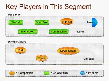 Key Players in This Segment