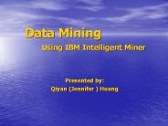 Data Mining Using IBM Intelligent Miner