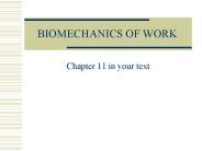 BIOMECHANICS OF WORK