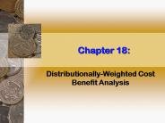 Distributionally-Weighted Cost Benefit Analysis