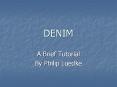 DENIM PowerPoint PPT Presentation