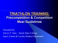 TRIATHLON TRAINING: Precompetition PowerPoint PPT Presentation