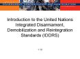 Introduction to the United Nations Integrated Disarmament, Demobilization and Reintegration Standard PowerPoint PPT Presentation