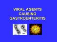 VIRAL AGENTS CAUSING GASTROENTERITIS PowerPoint PPT Presentation