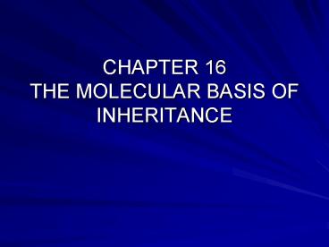 CHAPTER 16 THE MOLECULAR BASIS OF INHERITANCE