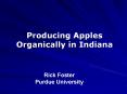 Producing Apples Organically in Indiana PowerPoint PPT Presentation