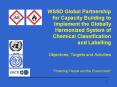 WSSD Global Partnership for Capacity Building to Implement the Globally Harmonized System of Chemical Classification and Labelling PowerPoint PPT Presentation