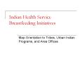 Indian Health Service Breastfeeding Initiatives PowerPoint PPT Presentation