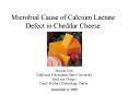 Microbial Cause of Calcium Lactate Defect in Cheddar Cheese PowerPoint PPT Presentation