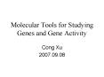 Molecular Tools for Studying Genes and Gene Activity PowerPoint PPT Presentation