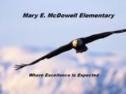 Mary E. McDowell Elementary