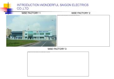 INTRODUCTION WONDERFUL SAIGON ELECTRICS CO',LTD