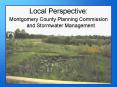 Local Perspective: PowerPoint PPT Presentation
