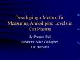 Developing%20a%20Method%20for%20Measuring%20Amlodipine%20Levels%20in%20Cat%20Plasma PowerPoint PPT Presentation