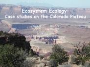 Ecosystem Ecology: