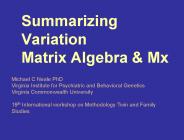 Summarizing Variation Matrix Algebra