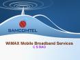 WiMAX Mobile Broadband Services PowerPoint PPT Presentation