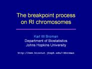 The breakpoint process on RI chromosomes