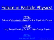 Future in Particle Physics!