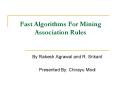 Fast Algorithms For Mining Association Rules PowerPoint PPT Presentation
