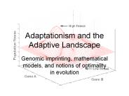 Adaptationism%20and%20the%20Adaptive%20Landscape