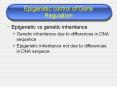 Epigenetic control of Gene Regulation PowerPoint PPT Presentation