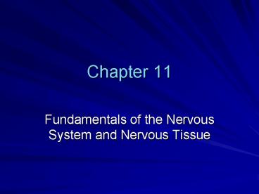 Fundamentals of the Nervous System and Nervous Tissue