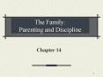 The Family: Parenting and Discipline PowerPoint PPT Presentation