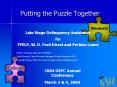 Putting the Puzzle Together PowerPoint PPT Presentation