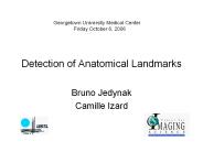 Detection%20of%20Anatomical%20Landmarks