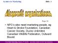 NPO PowerPoint PPT Presentation