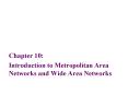 Introduction to Metropolitan Area Networks and Wide Area Networks PowerPoint PPT Presentation