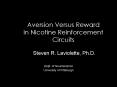 Aversion Versus Reward in Nicotine Reinforcement Circuits PowerPoint PPT Presentation