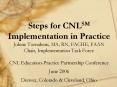 Steps for CNLSM Implementation in Practice Jolene Tornabeni, MA, RN, FACHE, FAAN Chair, Implementati PowerPoint PPT Presentation