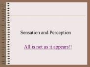 Sensation and Perception