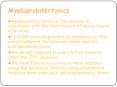 Myeloarchitectonics PowerPoint PPT Presentation