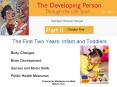 The First Two Years: Infant and Toddlers PowerPoint PPT Presentation